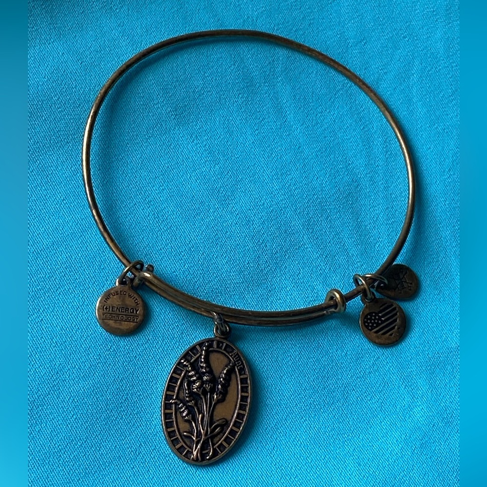 Alex and Ani Aunt Charm Bracelet